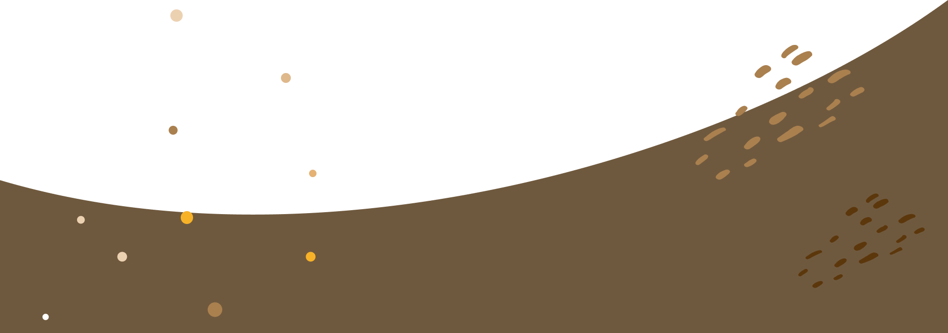 Bottom Img